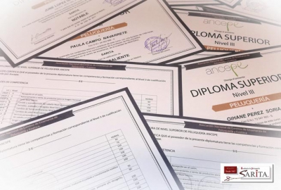 Fin de curso 2016 - 2017 Entrega de Certificados.